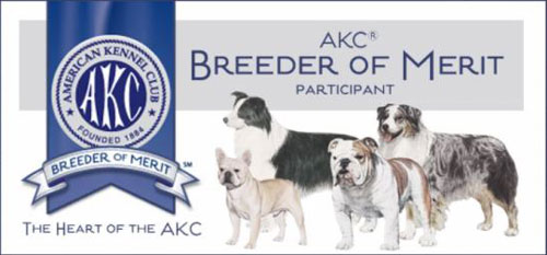 AKC Breeder of Merit